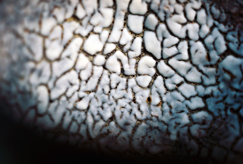 Sandblasted Shino Bowl detail