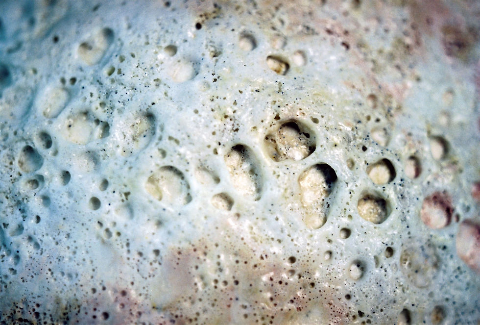 Wave Bowl detail