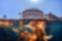 DSC01406-Enhanced-NR-Edit-70.jpg