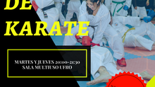 ¡NUEVOS CUPOS KARATE UFRO 2017 SEGUNDO SEMESTRE!