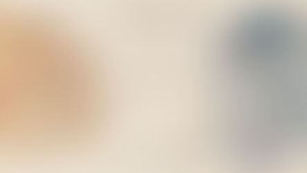 Non-REM Records Compilation.「Warmwald & Kaltwald」