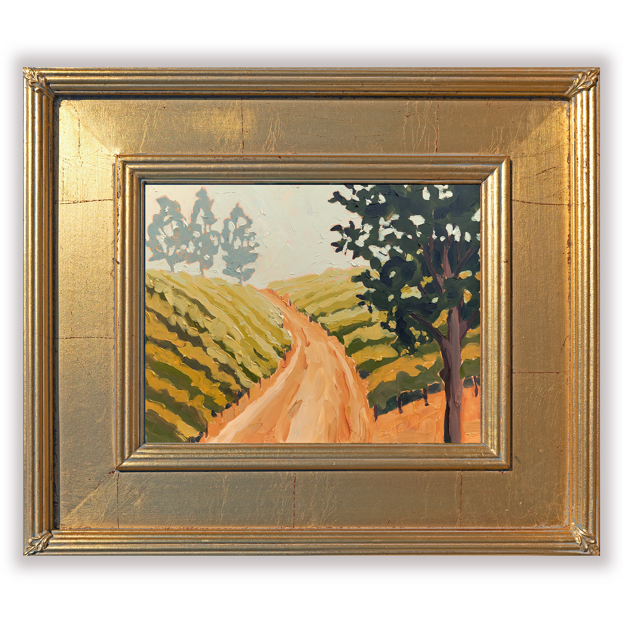 Misty Morning Sketch