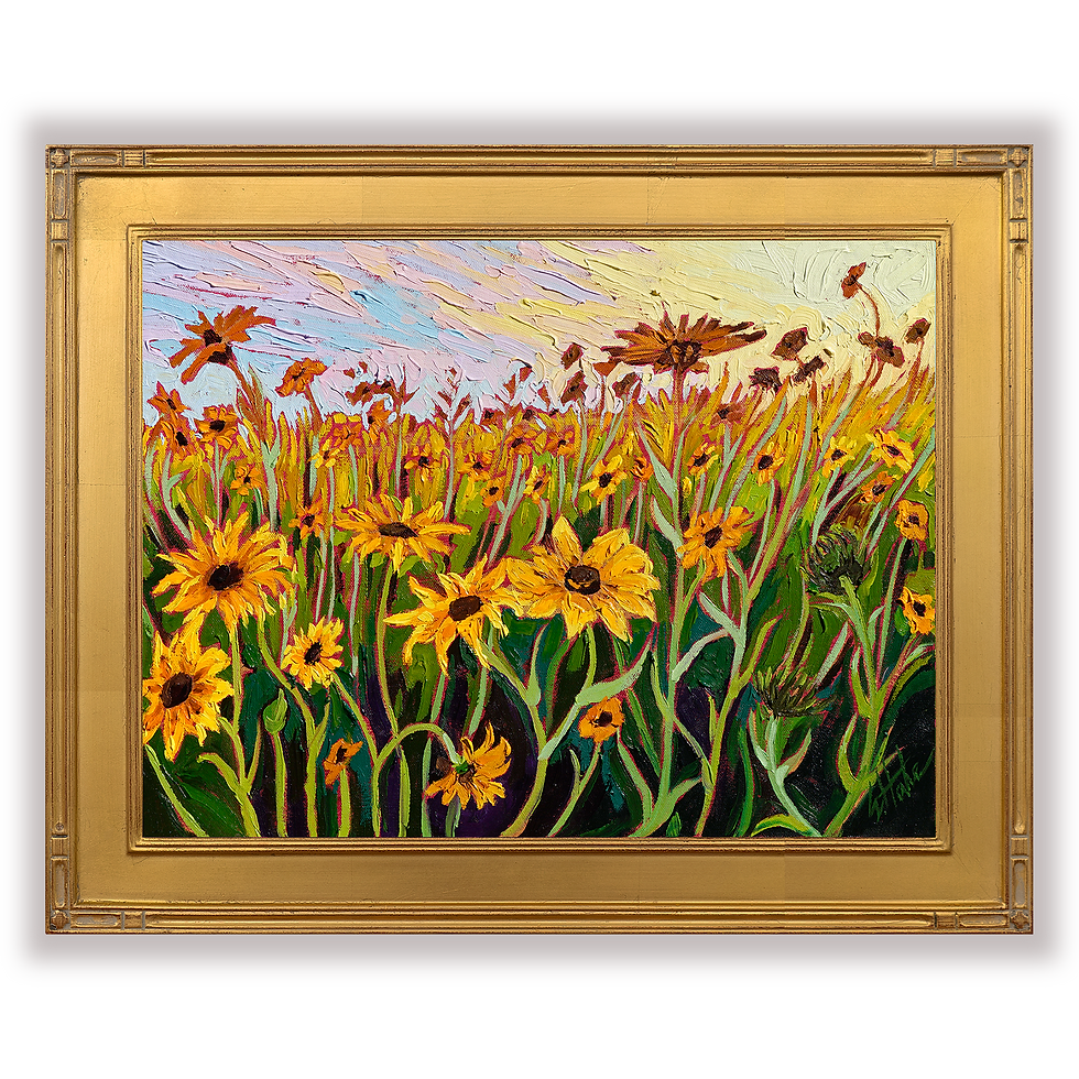 Field of Susans