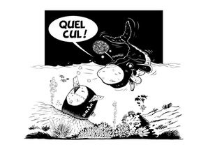 Quel cul .png