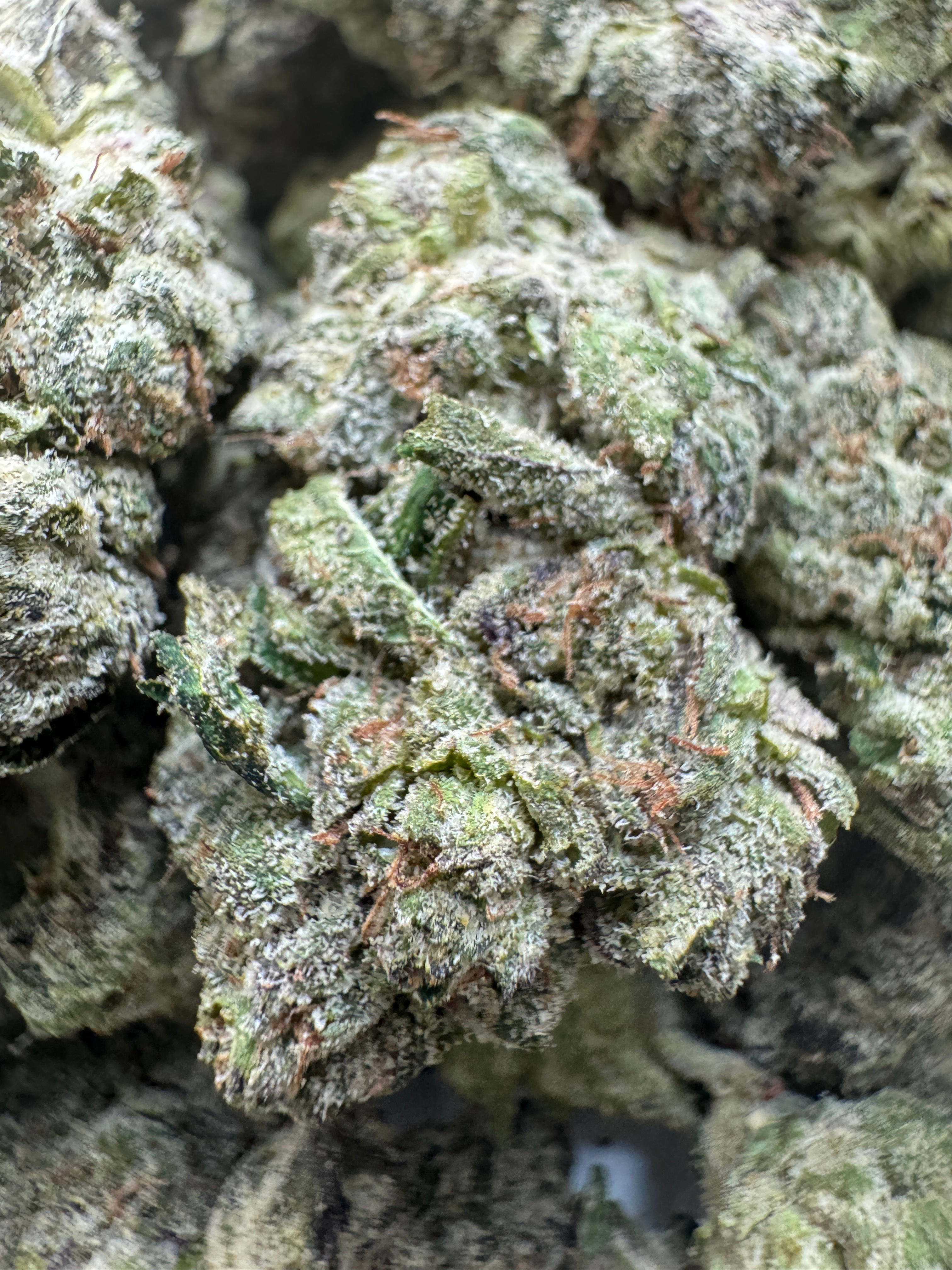 THC Bomb (sticker)