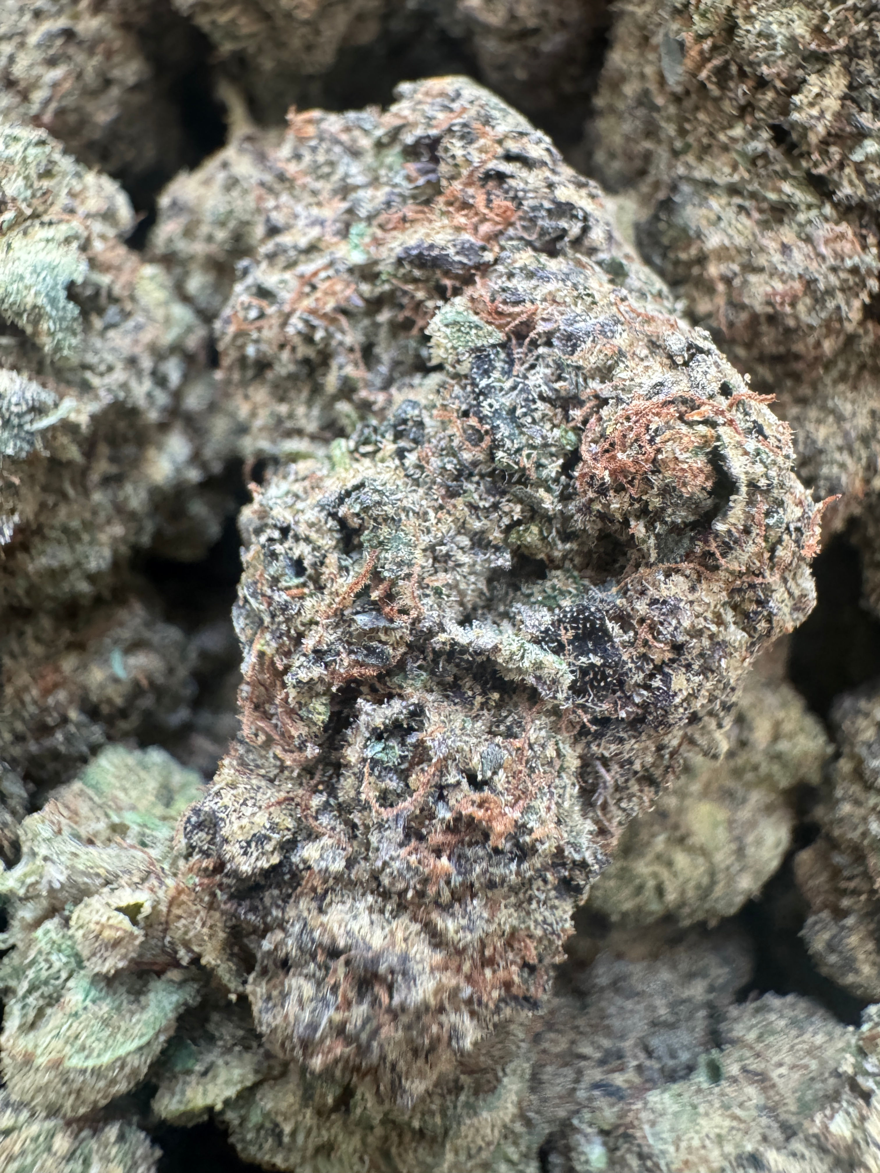 Purple Cream (sticker)