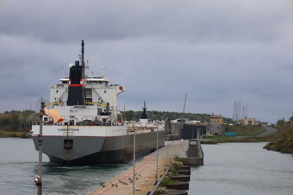 A ship approaching the Snell Lock