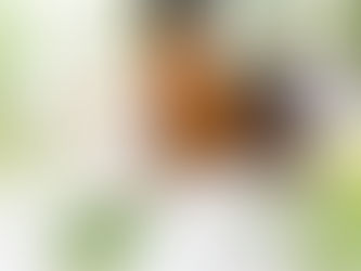 漢方アロマで自律神経を整えよう!