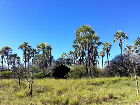 Ecotourism, the responsible way to explore the world