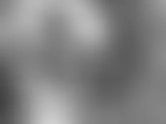 African Boy Caged in Bronx Zoo