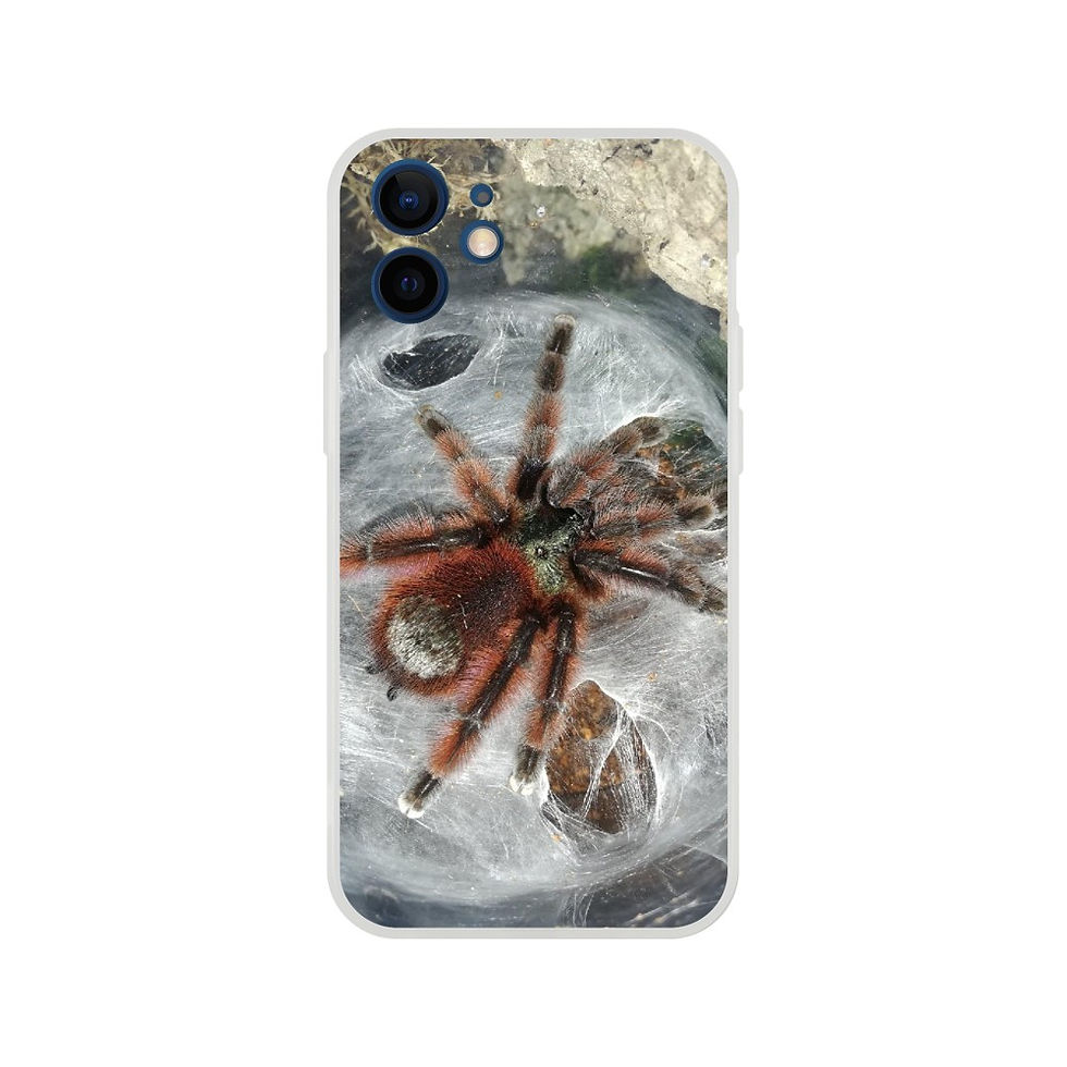 Thumbnail: Flexi case - Caribena versicolor