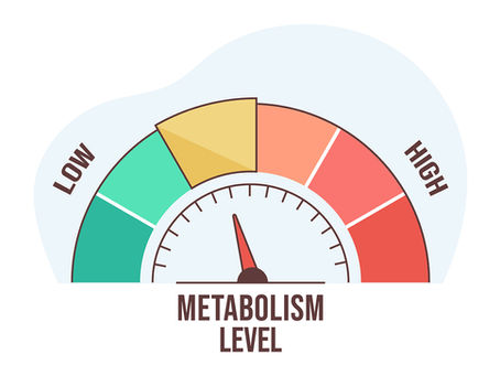 Slow Metabolism