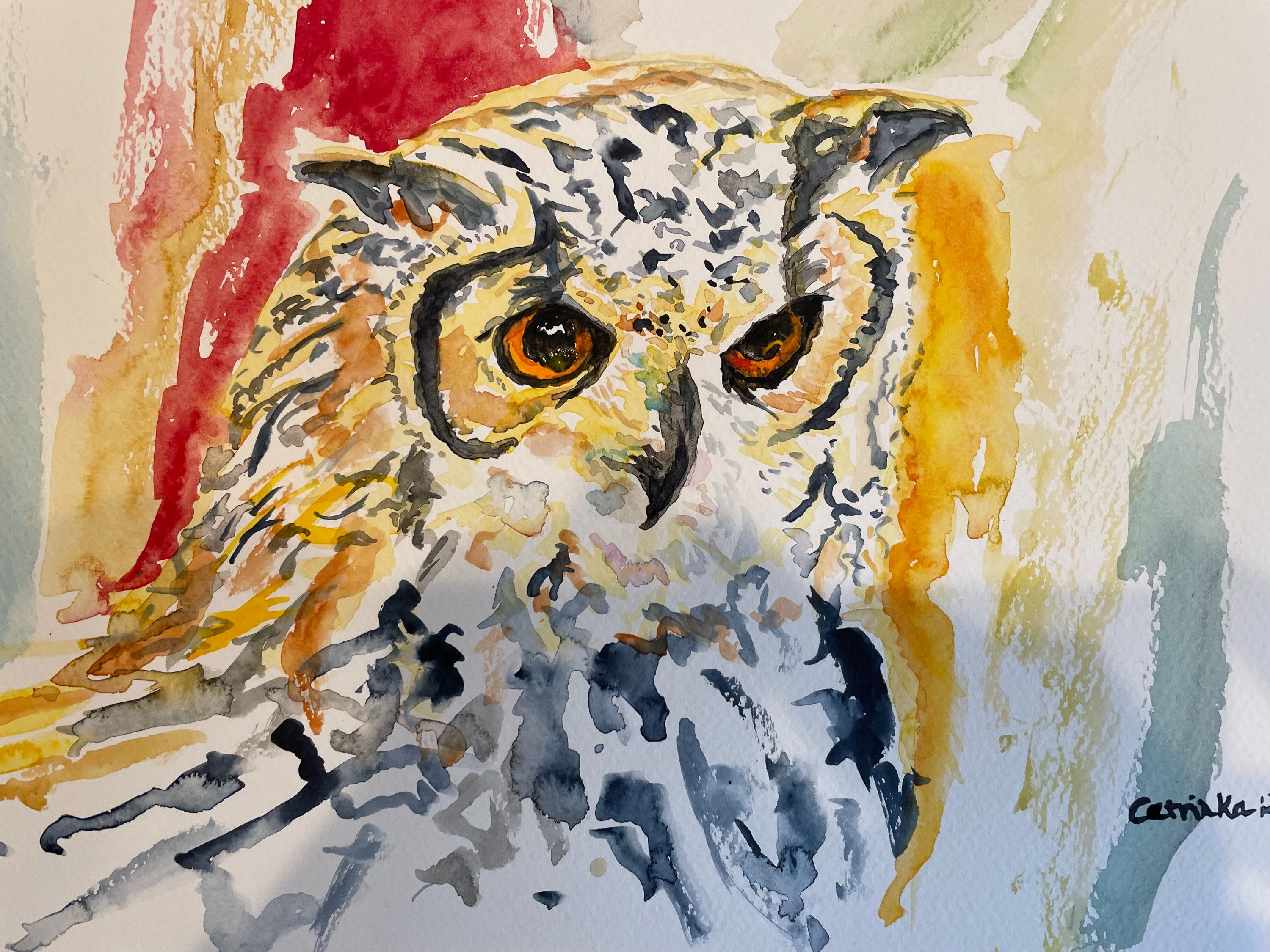 “Whooo gives a Hoooot?!”