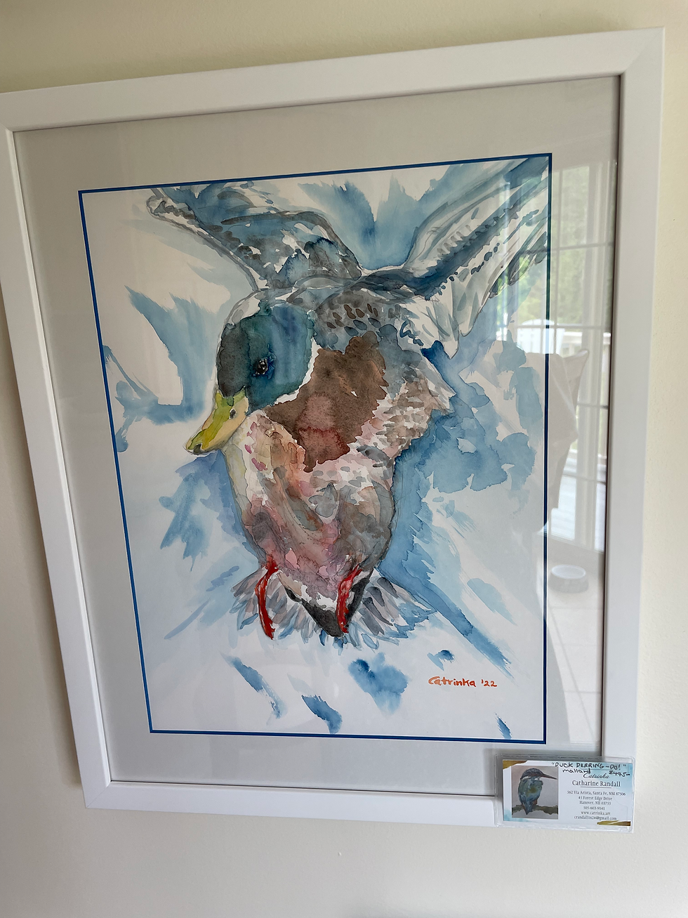 Thumbnail: Duck Derring-do!