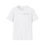 Thumbnail: Action Workshop Softstyle Adult T-Shirt