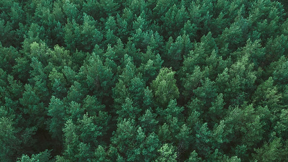 Specializing in moderate to severe treatment-resistant depression & anxiety