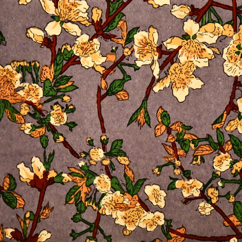 Miniature : Papier Nature Vivante E26