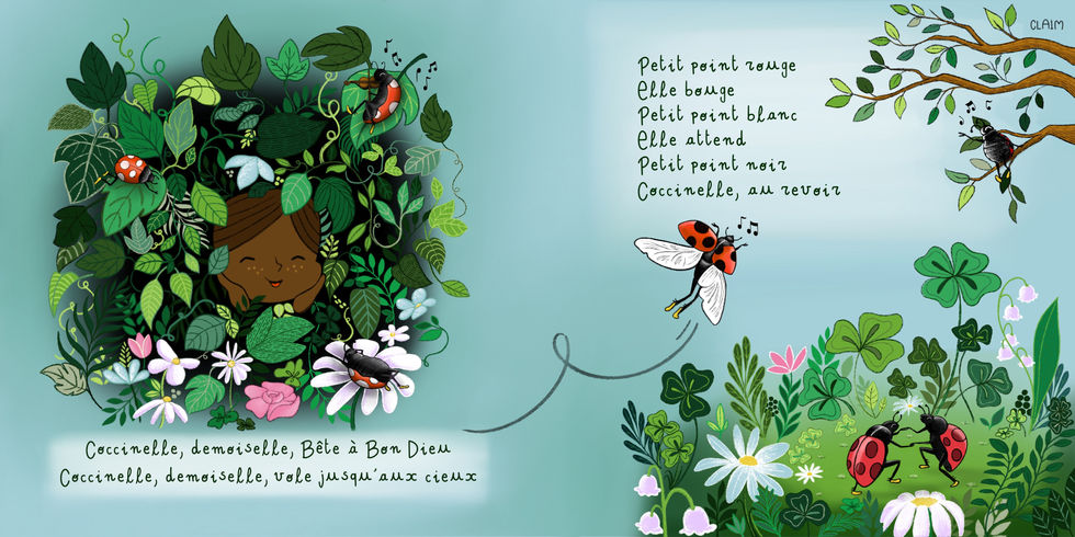 Coccinelle Demoiselle