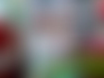 Responde la colonia Reforma a propuestas de Haydeé Reyes