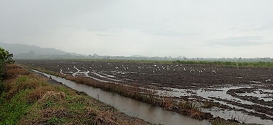 Junjungan Site 1.jpeg