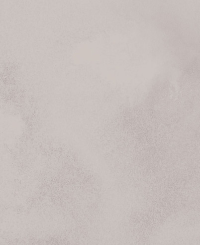 Light abstract background in soft grey tones.