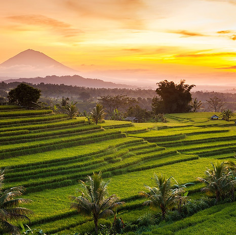 Jatiluwih-UNESCO-Heritage.jpg