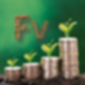 FV Final Logo.png