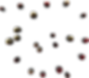 Untitled-12.png
