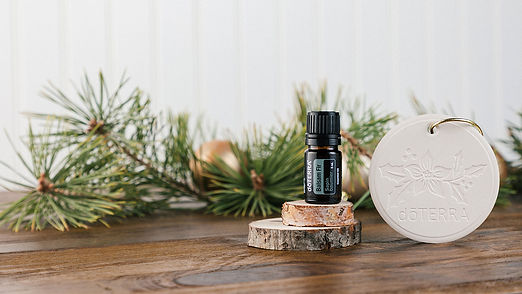 16x9-balsam-fir-spotlight.jpg
