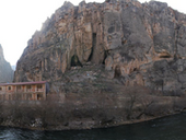 世界のワイン業界ニュース