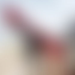 Binnenkort kan je hier alles lezen over teambuildings, seminaries, ...