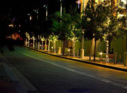 I would totally be into doing more night photography if I didn't get scared at the sound of signs fl