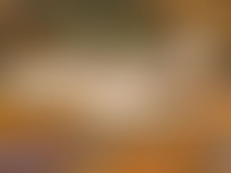 EAA National Convention - Vryheid