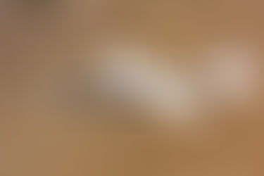 NASA AD-1 - The Plane That Flew Sideways