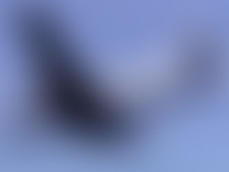 The Bréguet 763 'Deux-Ponts' – The First Double Decker