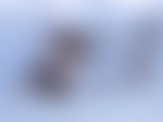 Pipistrel Velis Electro and Explorer Aircraft Achieve Type Certificate Validation in Canada