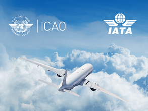 ICAO vs IATA -  Who they are and what do they do?