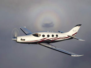 News Letter 7 November 2019