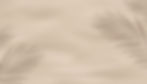sand palms.jpg