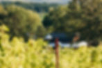 CaitlinnMahar-DanielsHudsonValleyPhotographer-5963.jpg