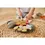 Miniatura: ALIMENTOS DEL MAR. MARISCOS PARA CORTAR