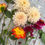 Thumbnail: British Bloom DIY Bucket