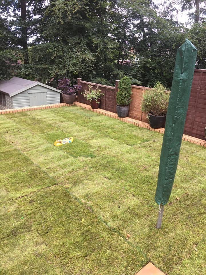 Back Garden Renovations photo 11