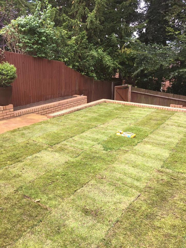 Back Garden Renovations photo 10