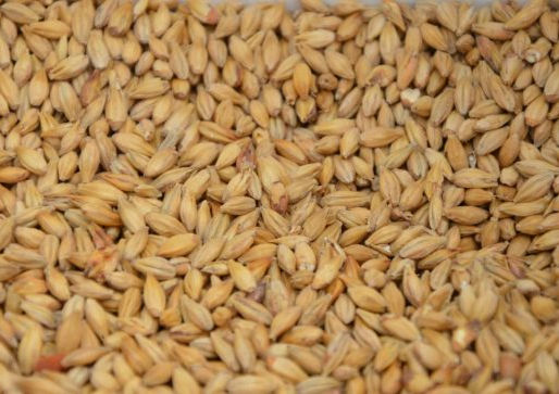 Будимпешта тражи продужетак забране увоза украјинског жита