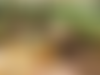 На фестивалу "Гастрокулт" у Сантову и екипе из Србије