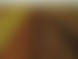 Мађарска нема намеру да уводи порез на пољопривредно земљиште