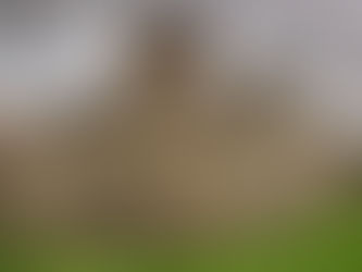 ФЕЉТОН: Седам векова од смрти српског краља Милутина (3)