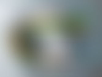 ВИДЕО: Културни дневник свакога дана на порталу СНН-а