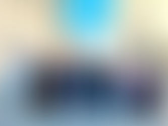 Студенти безбедности и одбране посетили Сентандреју